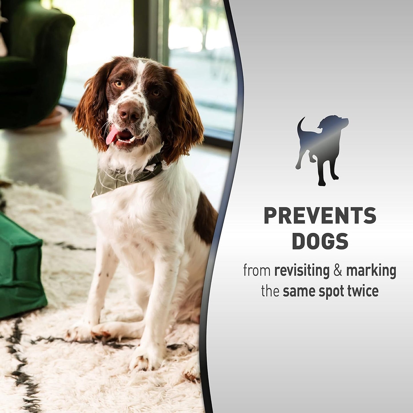 WTC No More Marking Spray 500 ml | Trains Your Pet Where Not to Urinate | Training Pee Corrector for Puppies & Dogs (500 ml)