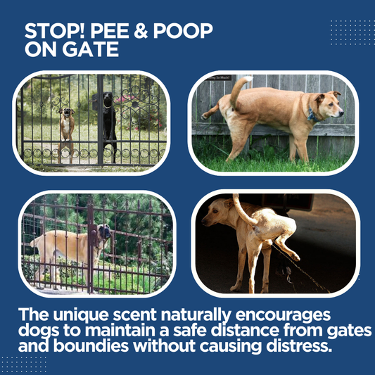 WTC Dog Repellent Pee & Poop Spray for Home's Main Gates, boundies or Yards. | Protect Your Home Entrance Clean and Free from Dog Waste (500 ML)