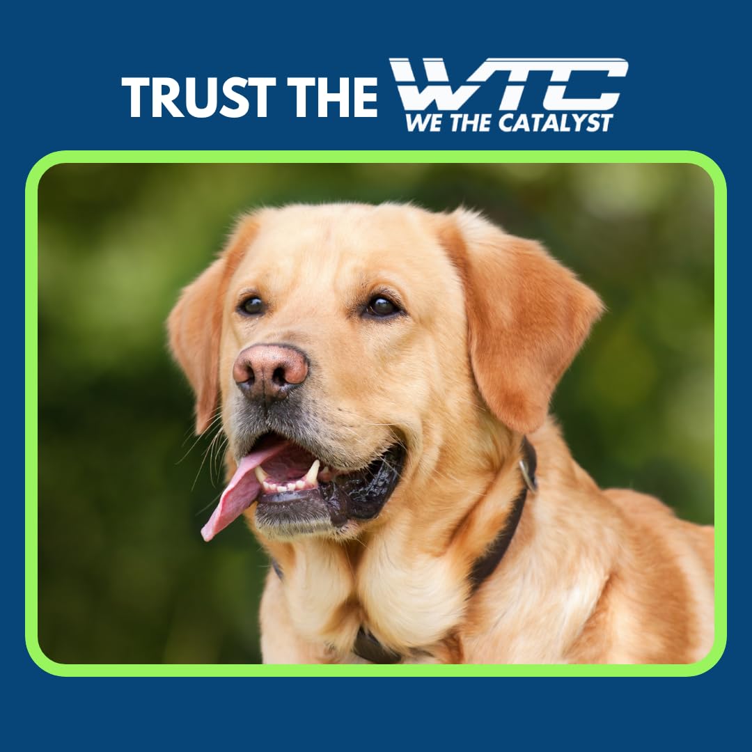 WTC Urine Destroyer Plus Dog, 500 ml, Enzymatic Formula, Quick Action-Cleans,Deodorizes, Disinfects & Home,Pet Areas,Garden & Doctor clinics | Dog Potty and Pee Area Cleaner | Urine Odour Remover