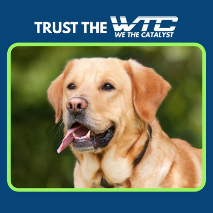 WTC Urine Destroyer Plus Dog, 500 ml, Enzymatic Formula, Quick Action-Cleans,Deodorizes, Disinfects & Home,Pet Areas,Garden & Doctor clinics | Dog Potty and Pee Area Cleaner | Urine Odour Remover