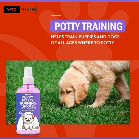WTC Puppy Potty Training Spray 500 ML | Attractive Scent Helps Train Puppies & Dogs Where to Potty | Formulated for Indoor & Outdoor Use