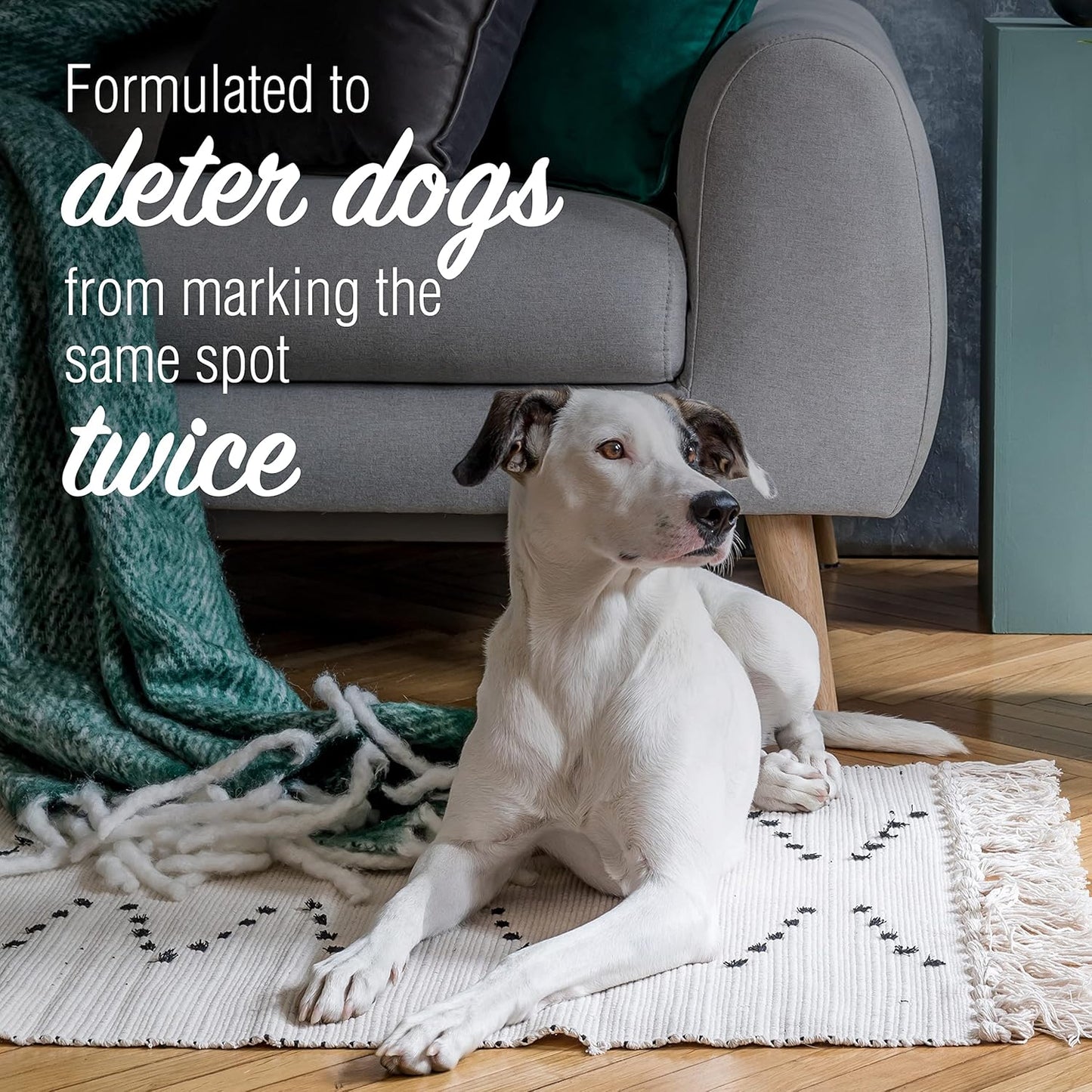 WTC Don't Mark Here 500 ML - No Pee Repellent Spray for Dogs Indoor & Outdoor - Puppy Housebreaking Supplies - Anti Peeing for Dogs and Puppies - Made in India