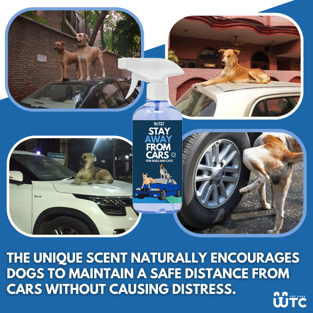 WTC Stay Away Car Repellent Spray 500 ml for Dogs & Animals – Protects Vehicles from Scratches, Pee & Poop, Natural Formula
